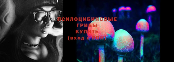 дурь Лихославль