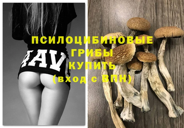 дживик Ладушкин