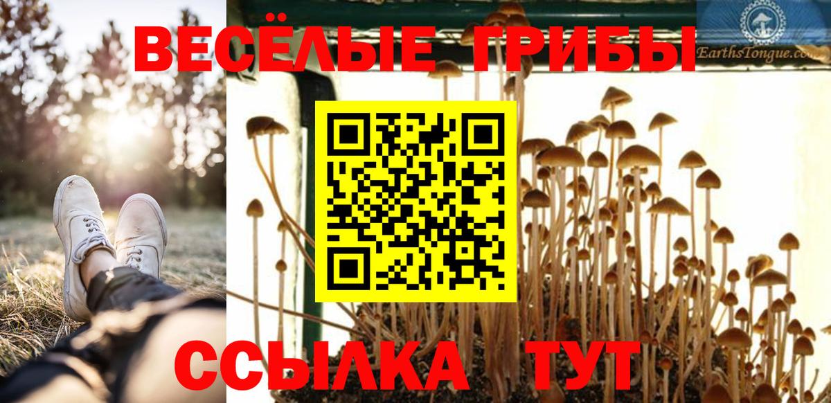 А ПВП Михайловск
