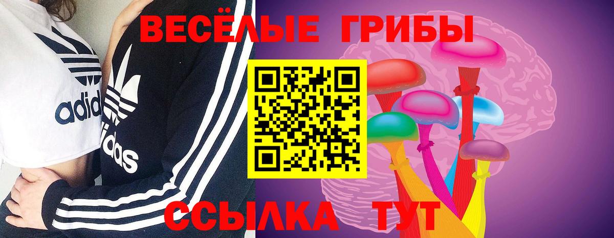 Галлюциногенные грибы Cubensis Михайловск